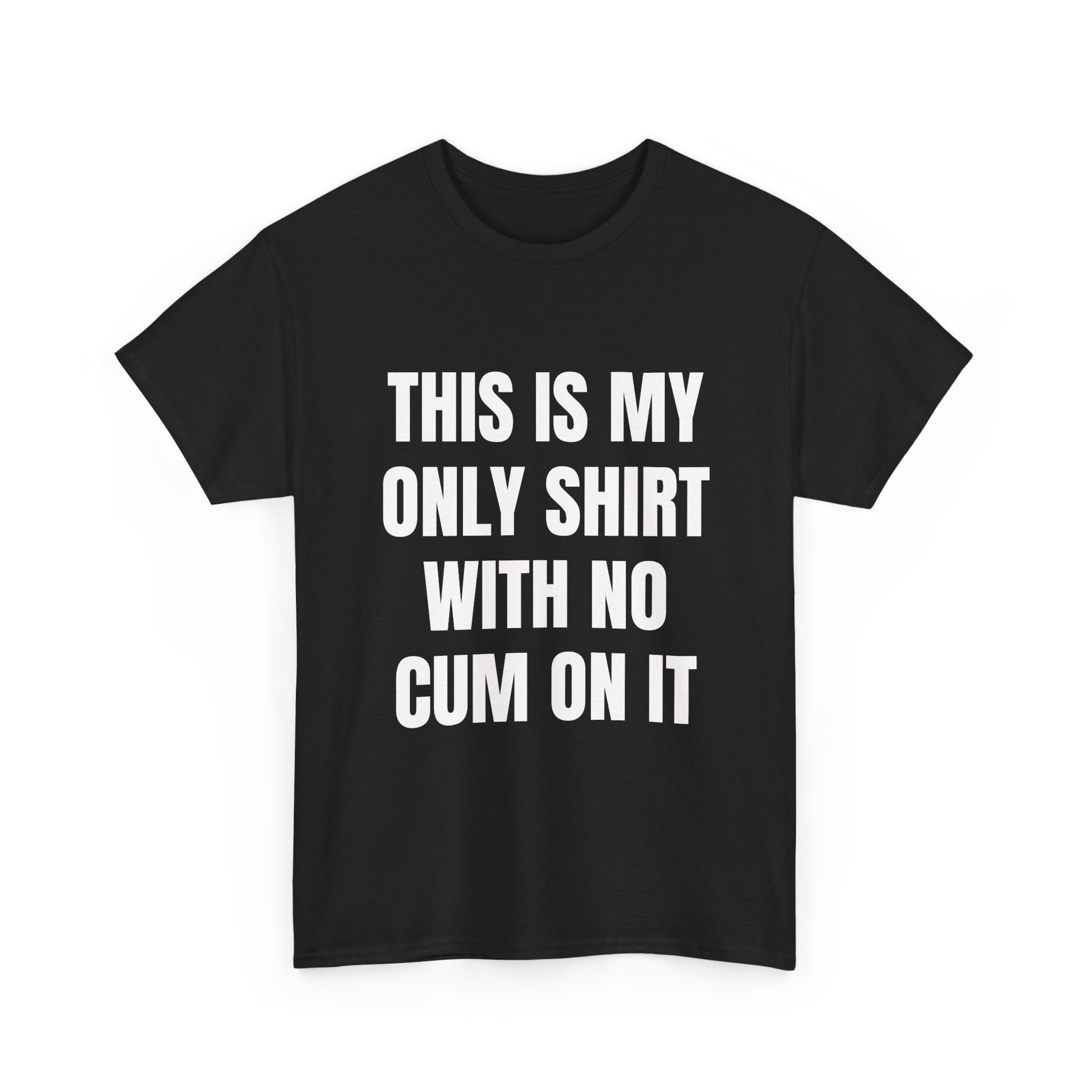 This Is My Only Shirt With No Cum On It T-Shirt