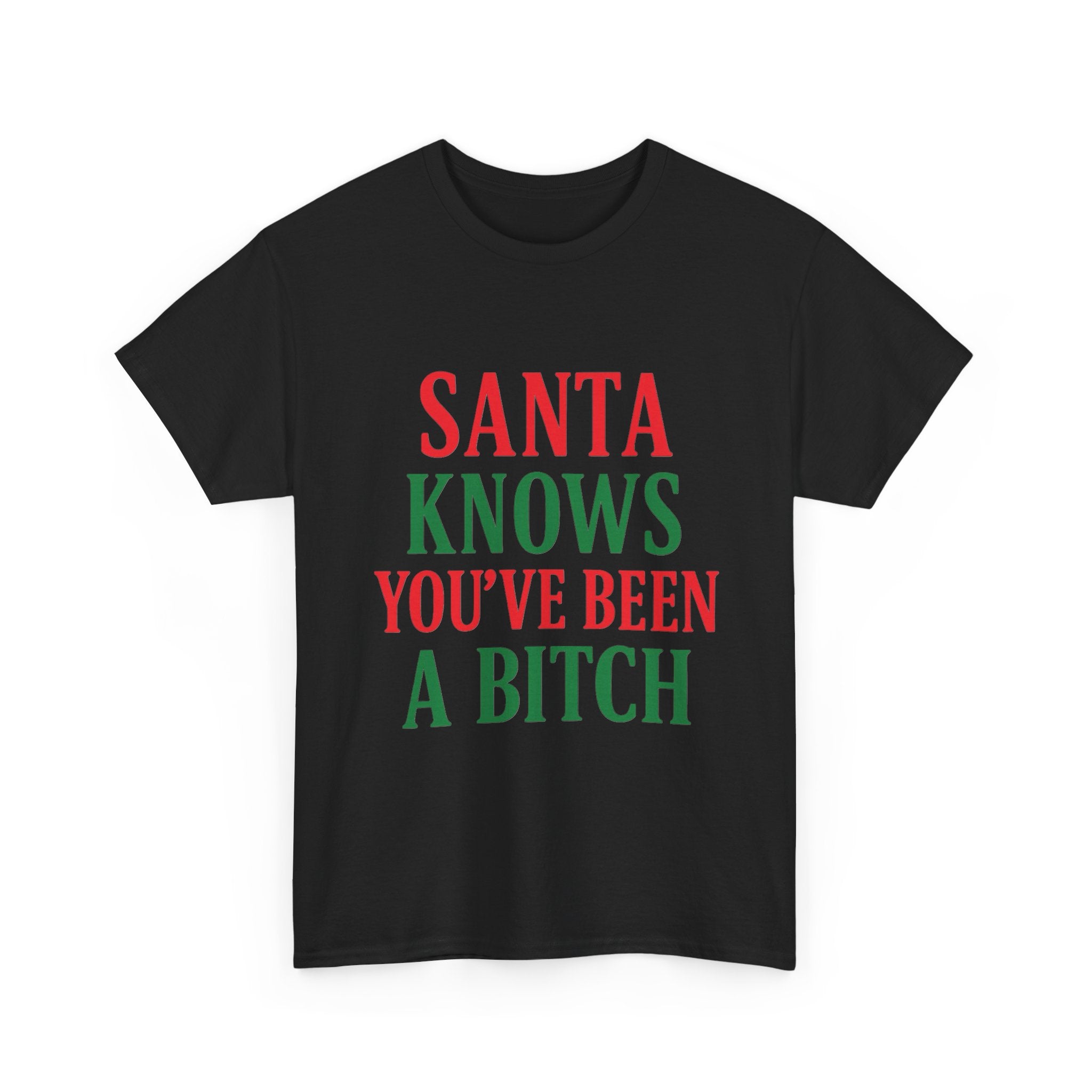 Santa Knows You've Been A Bitch T-Shirt
