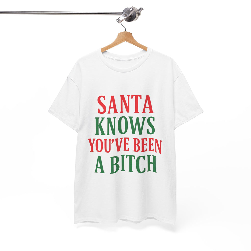 Santa Knows You've Been A Bitch T-Shirt
