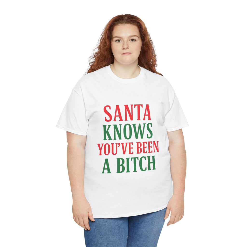 Santa Knows You've Been A Bitch T-Shirt