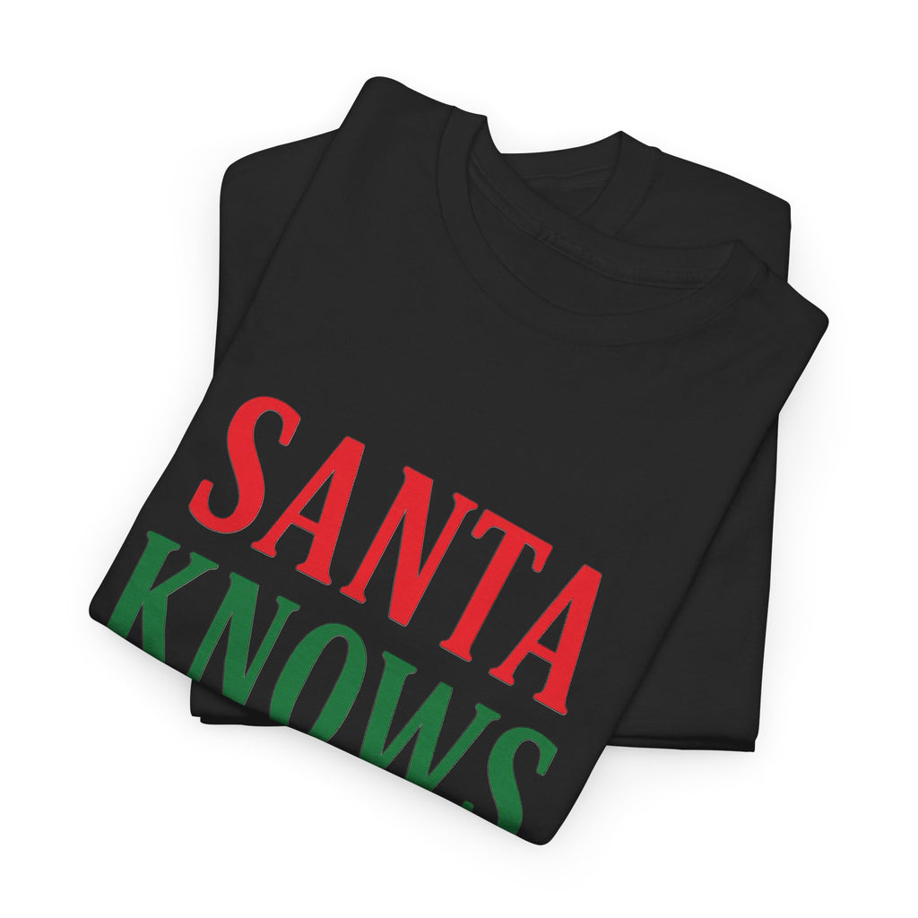 Santa Knows You've Been A Bitch T-Shirt