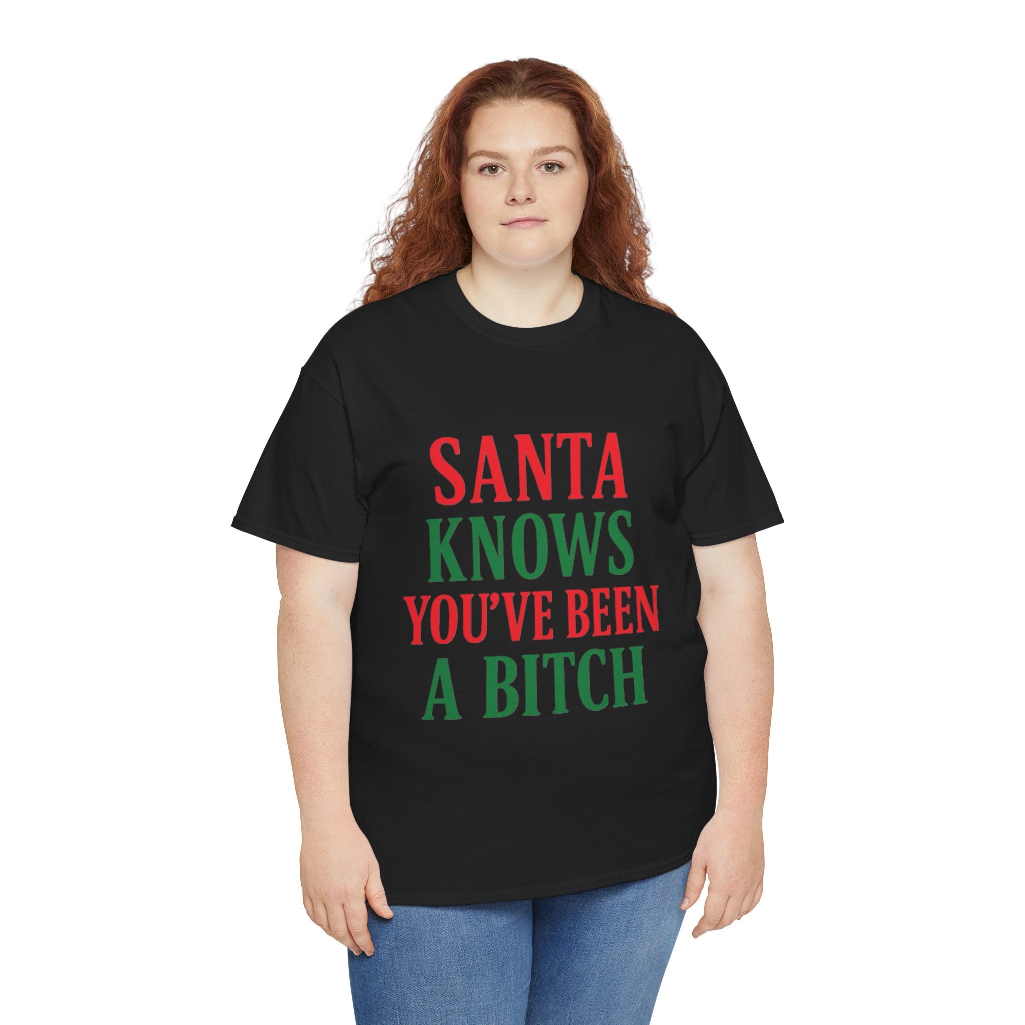 Santa Knows You've Been A Bitch T-Shirt