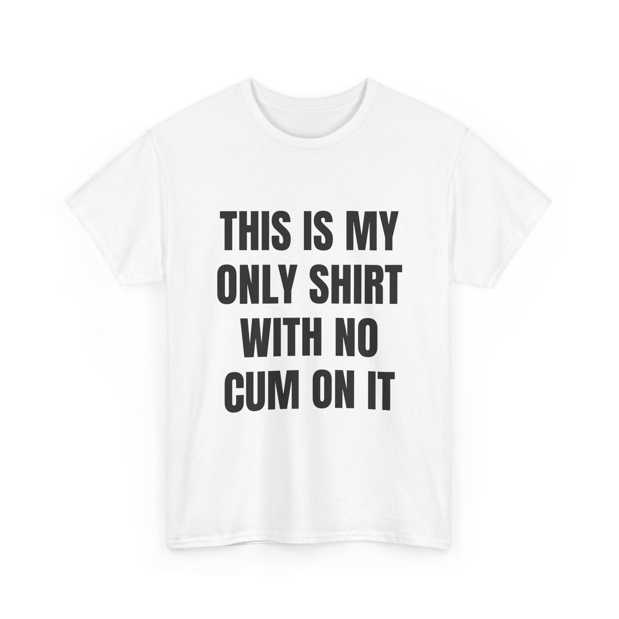 This Is My Only Shirt With No Cum On It T-Shirt