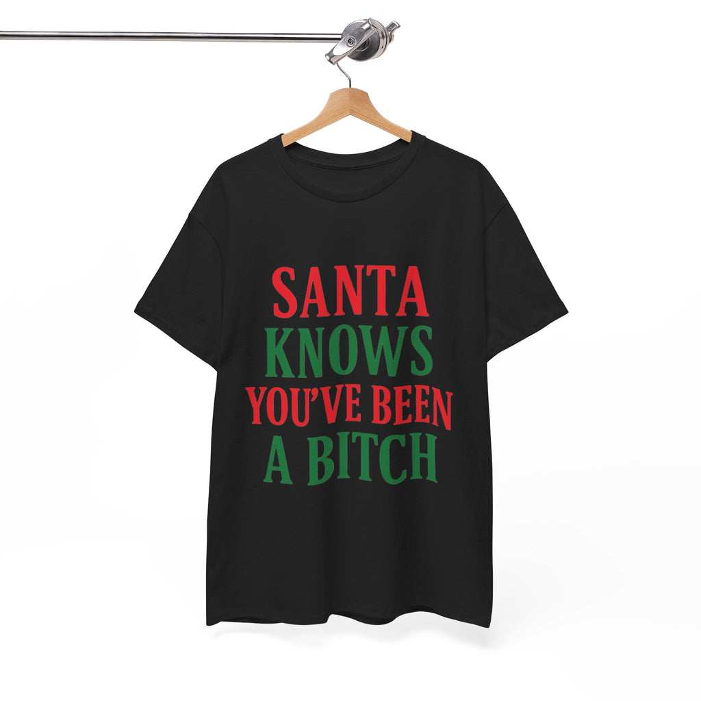 Santa Knows You've Been A Bitch T-Shirt
