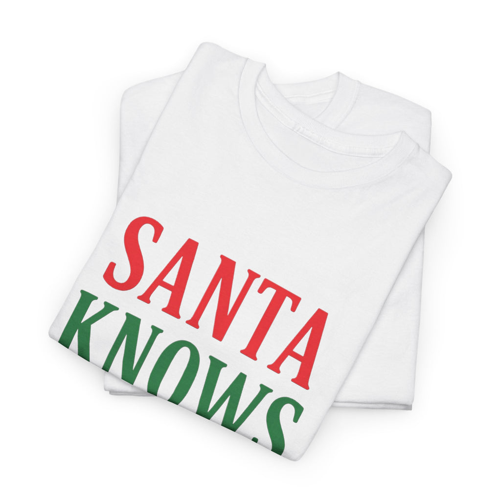 Santa Knows You've Been A Bitch T-Shirt