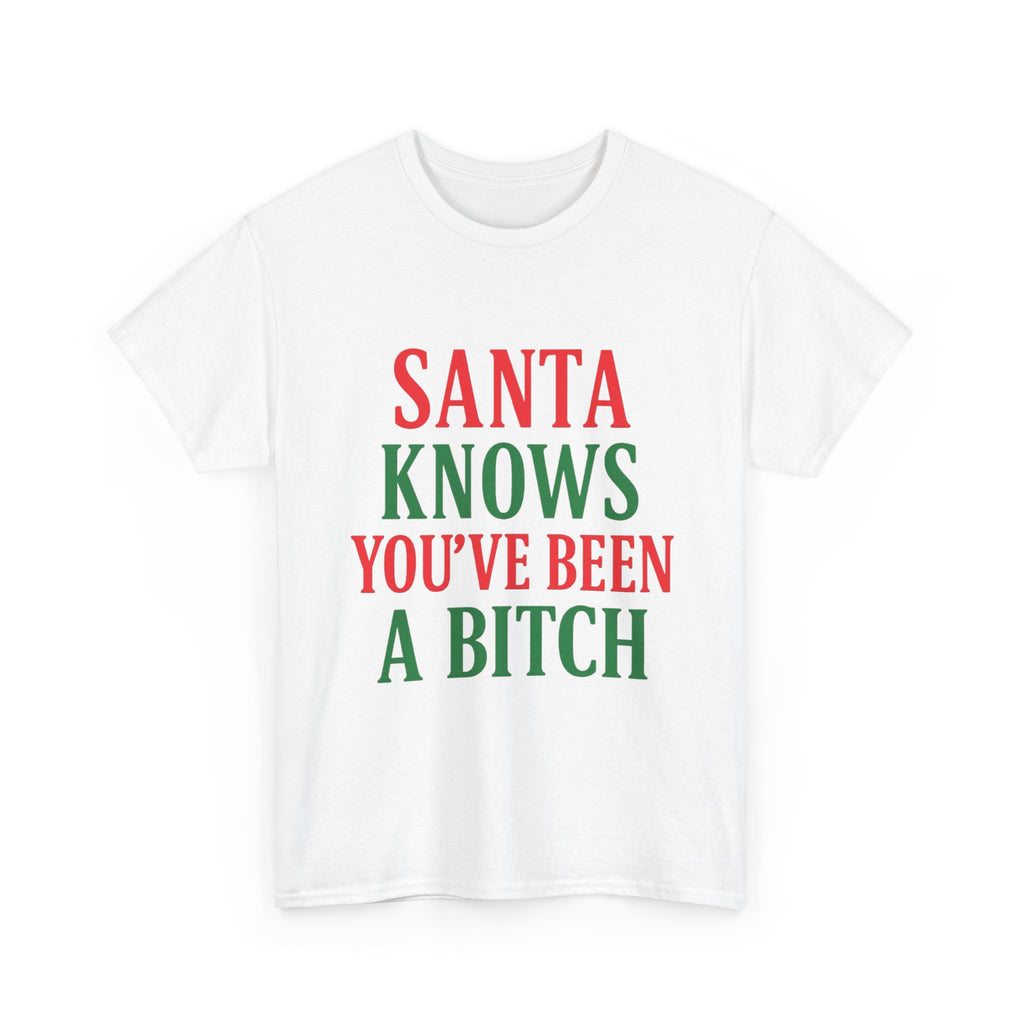 Santa Knows You've Been A Bitch T-Shirt