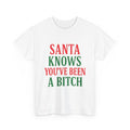 Santa Knows You've Been A Bitch T-Shirt