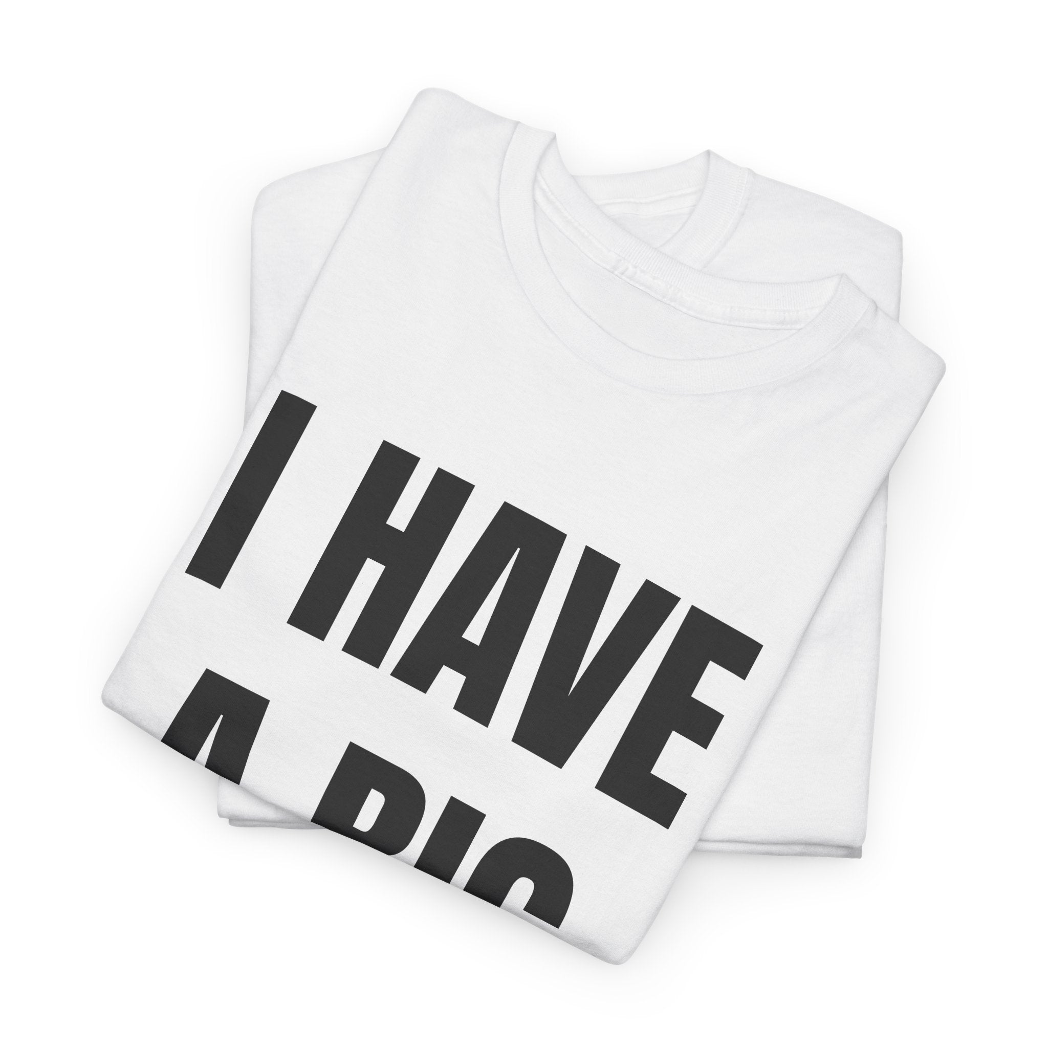 I Have A Big Dick T-Shirt